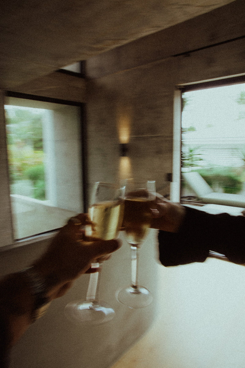 Lifetime Shine Support by Elme